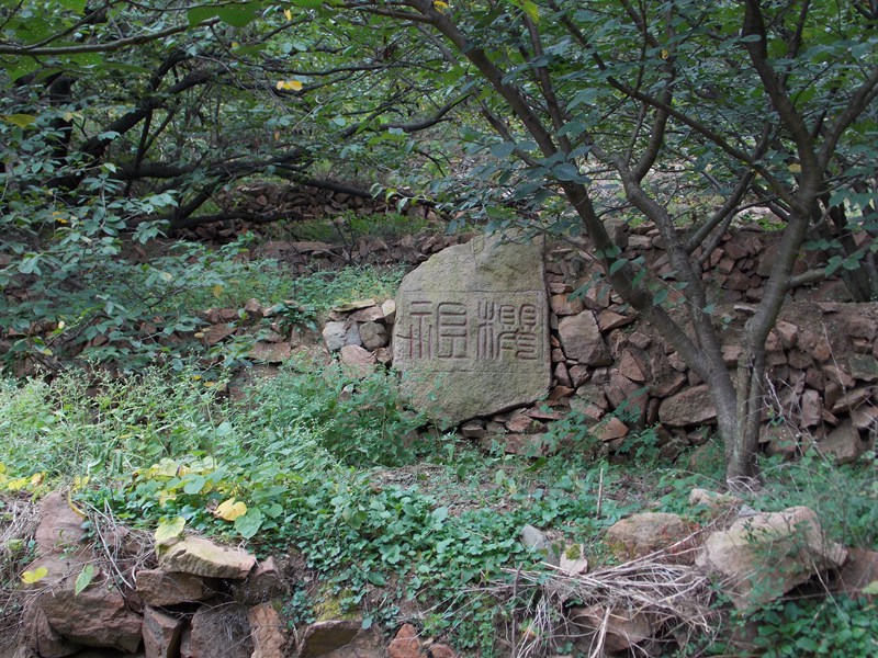 DSCN2183超然景区樱祖.JPG
