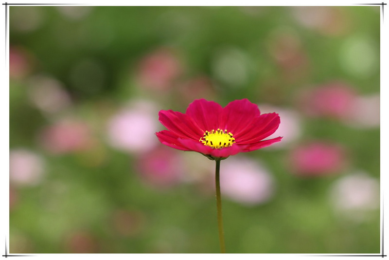 IMG_8719_副本.jpg