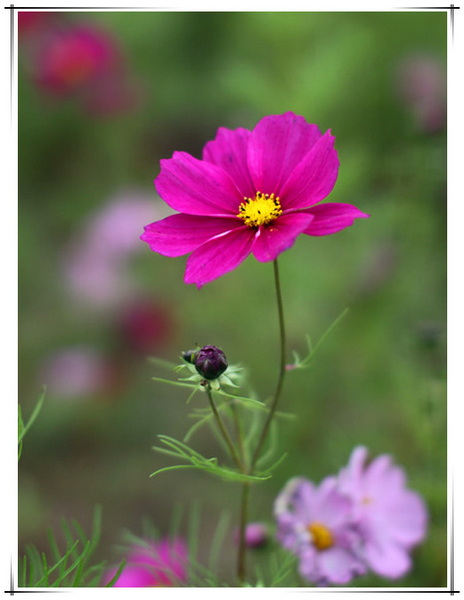 IMG_8779_副本_副本.jpg
