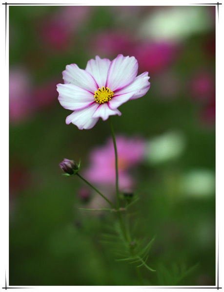 IMG_8780_副本_副本.jpg