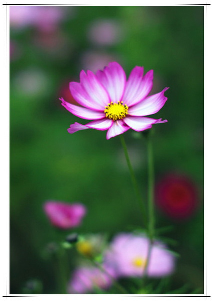 IMG_8791_副本_副本.jpg