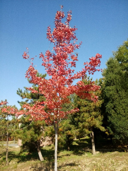 img_20141016_123053.jpg