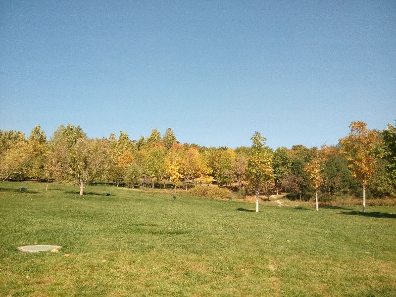 img_20141016_114417.jpg