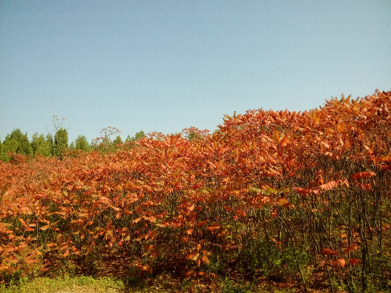 img_20141017_123026.jpg