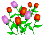 20090915192032.gif