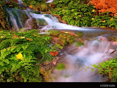 b_C7D3E4E3566BD0E9FB4DE4C374744398.gif