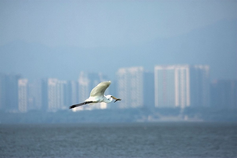 IMG_0963_副本.jpg