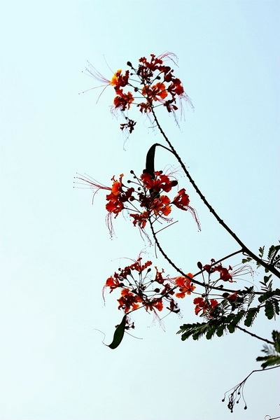 IMG_1056_副本.jpg