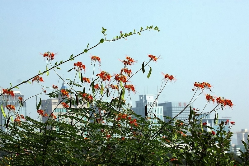 IMG_1064_副本.jpg