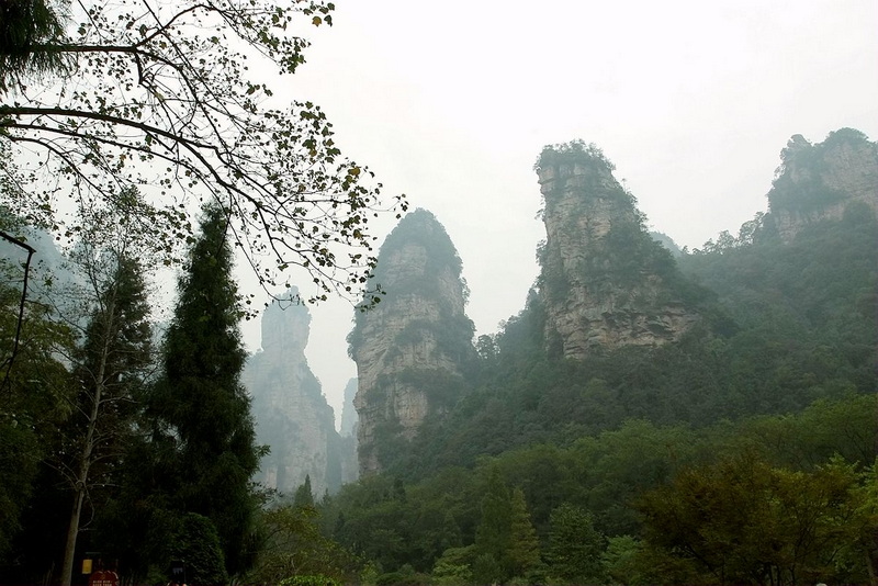 IMG_2463_副本.jpg