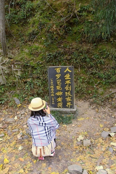 IMG_3184_副本.jpg