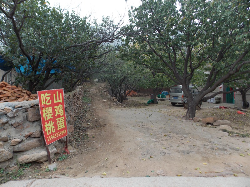 DSCN2481霞沟景区 做个广告.JPG