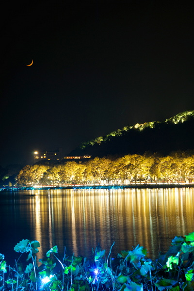 _DSC9803.jpg