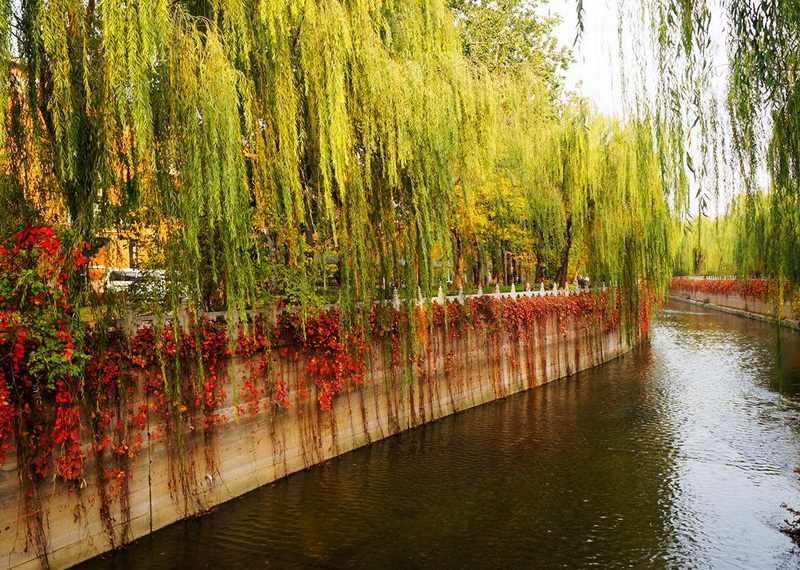 DSC09595_副本.jpg