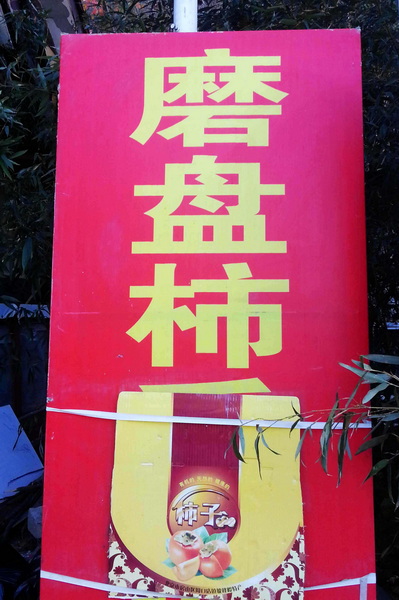 20141102_152845.jpg