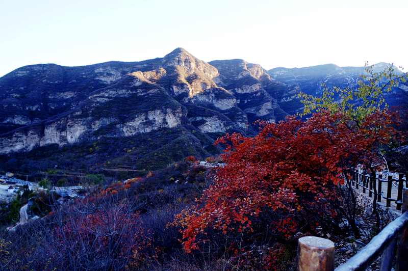 DSC09694_副本.jpg