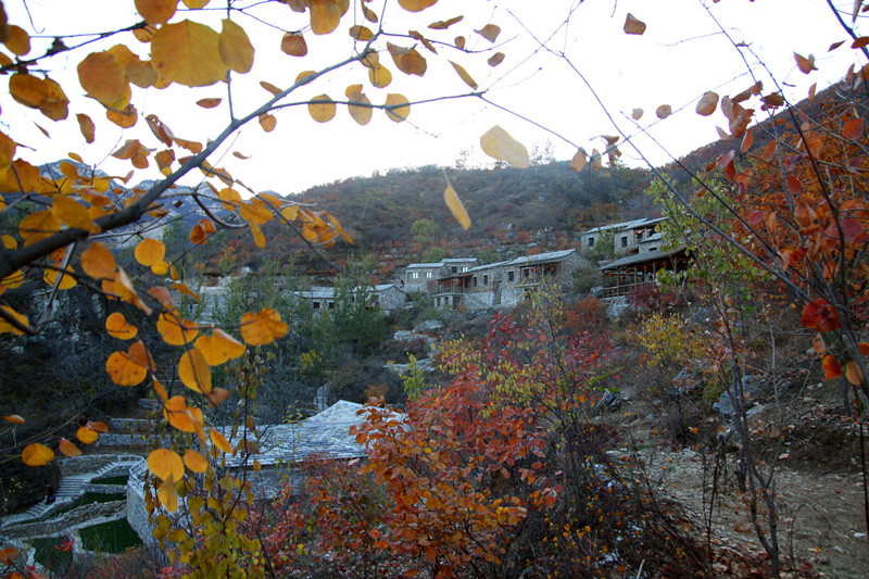 IMG_9015_副本.jpg