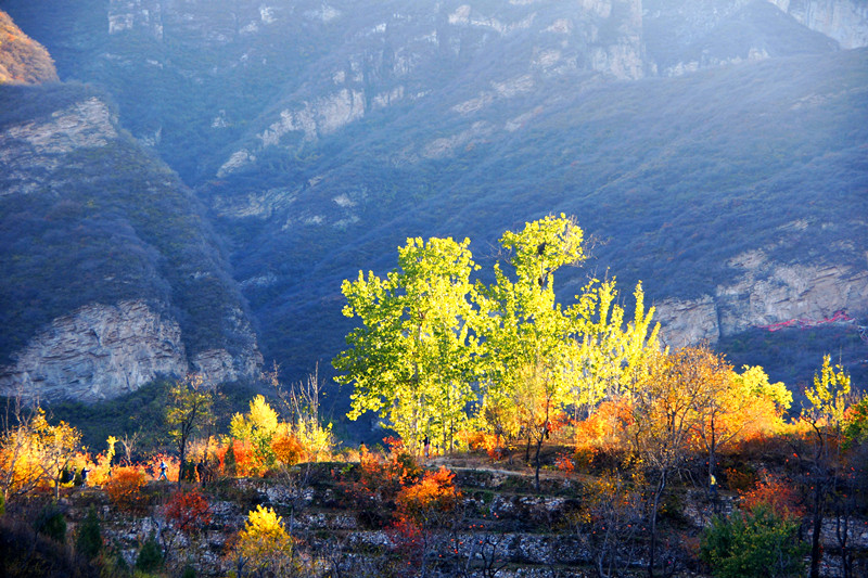 DSC06447-3_副本.jpg