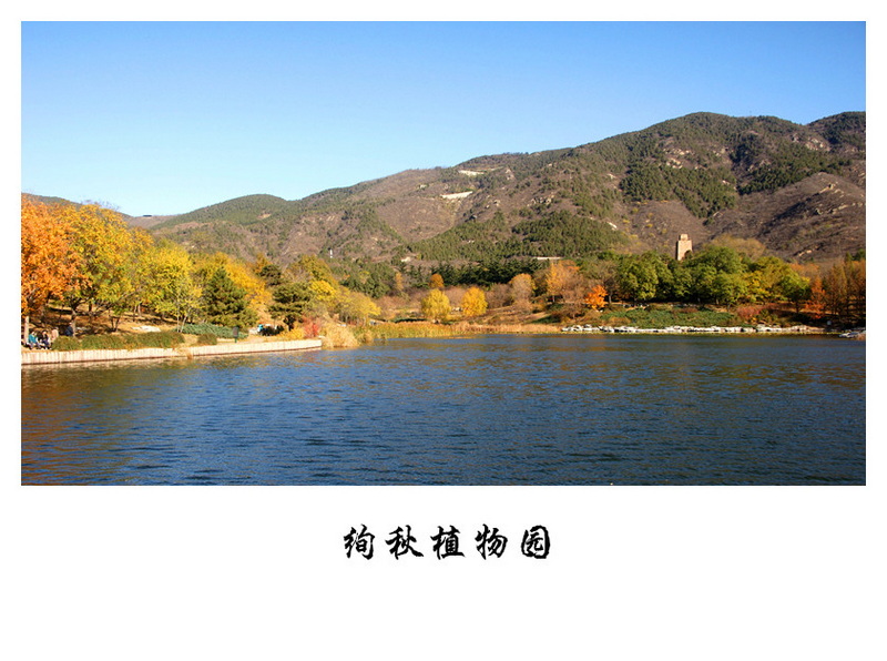 DSC06465_副本.jpg