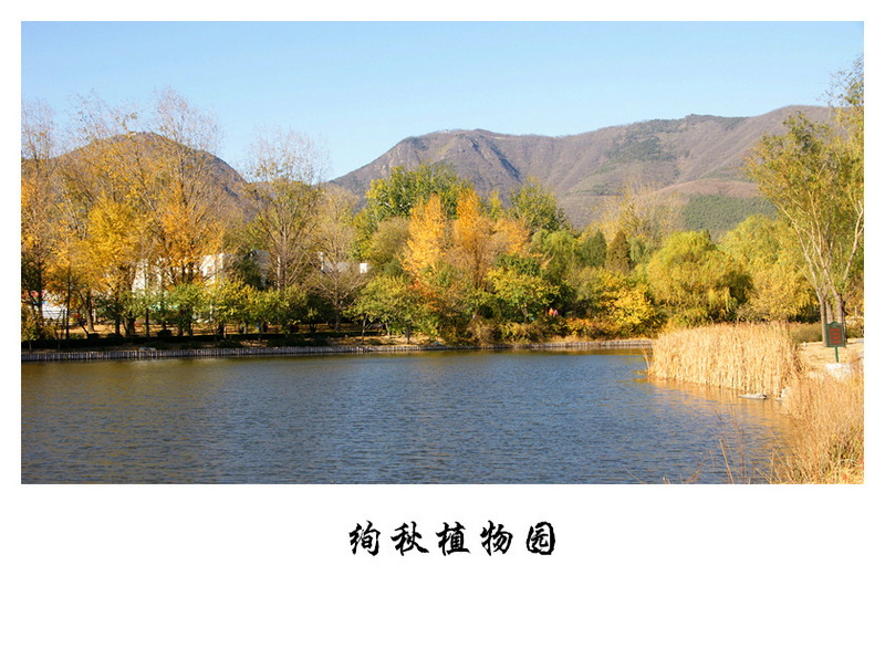 dsc06460_副本.jpg
