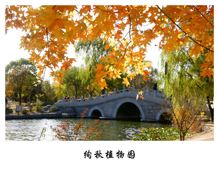 DSC06487_副本.jpg