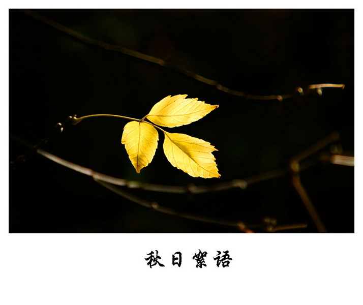 DSC06512_副本-1.jpg
