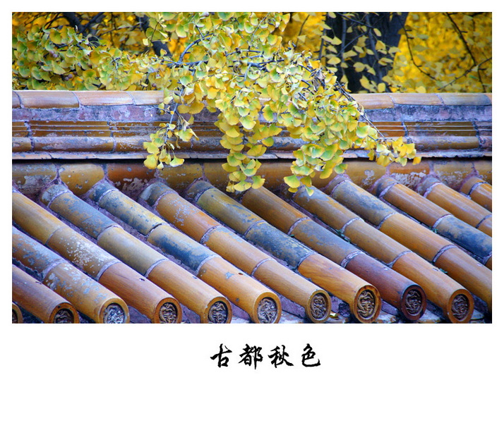 DSC06525_副本.jpg