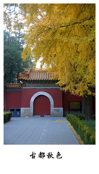 DSC06526_副本.jpg