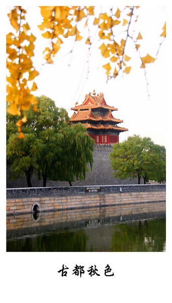 DSC06531_副本.jpg