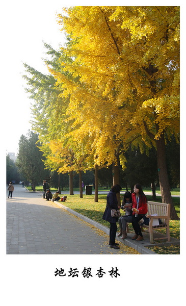 IMG_9065_副本.jpg