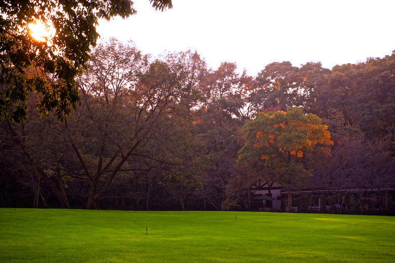 _DSC1582.jpg