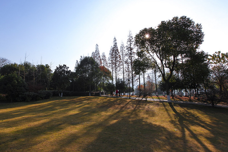 IMG_3044-5.jpg
