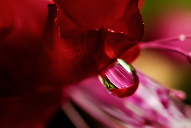 IMGP5011.jpg