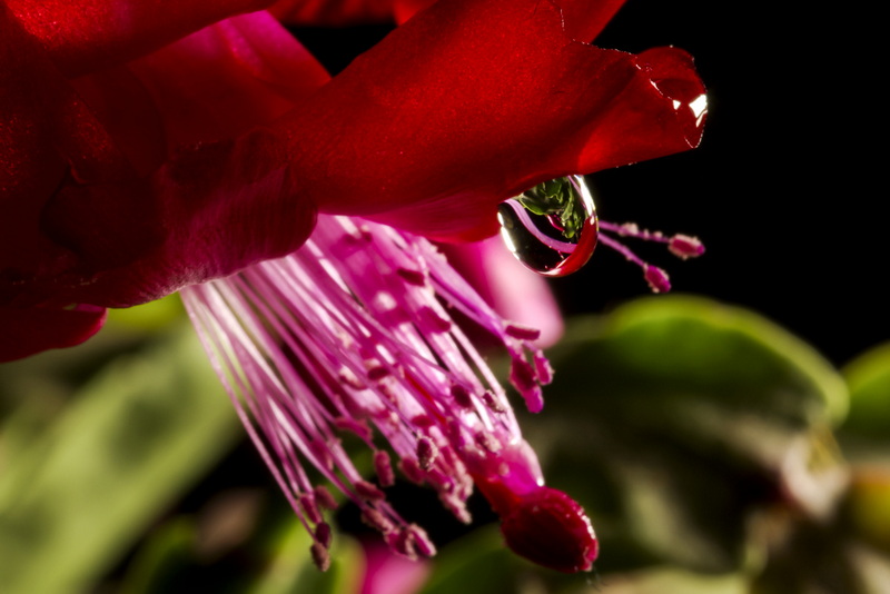 IMGP5033.jpg