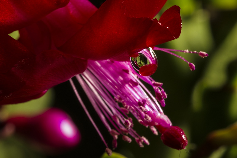 IMGP5038.jpg