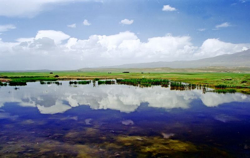 06.jpg