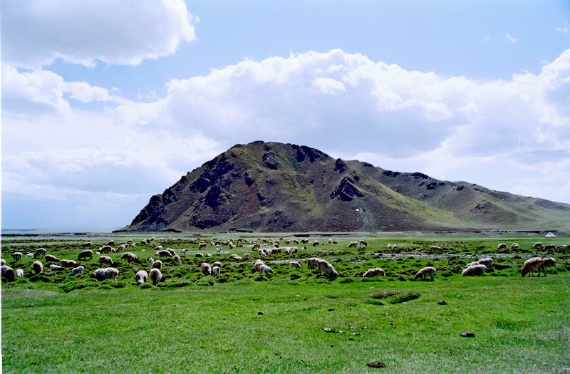 05.jpg