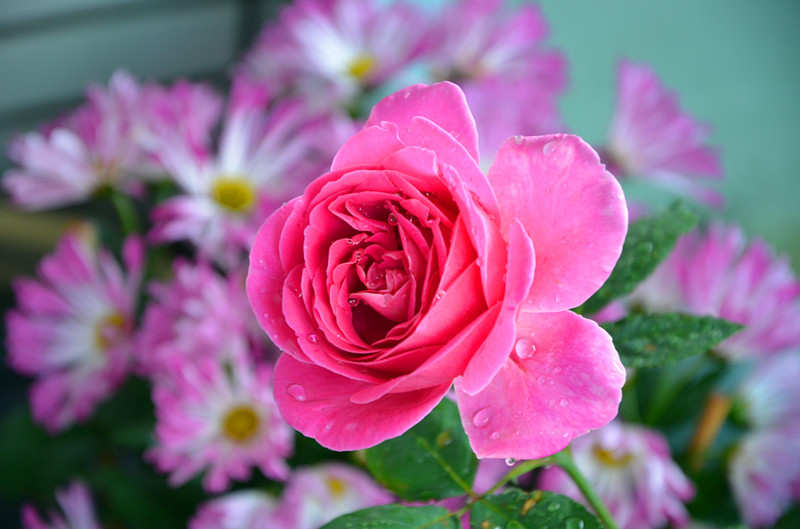 DSC_1473_副本.jpg