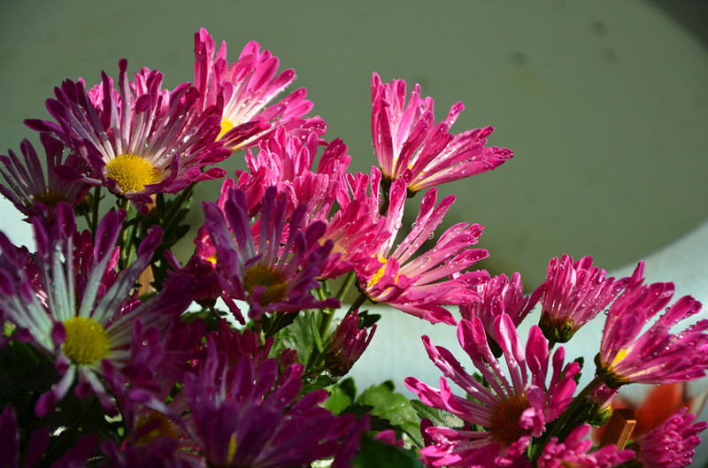 DSC_1428_副本.jpg
