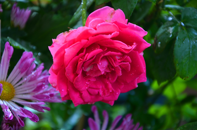 DSC_1435_副本.jpg