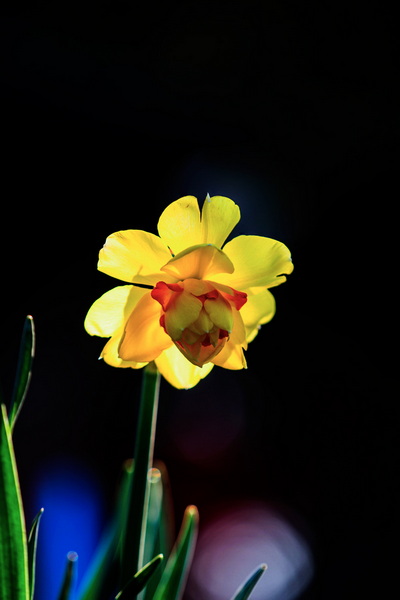 _DSC5002.jpg