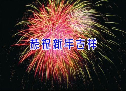 6608871924469513673.gif
