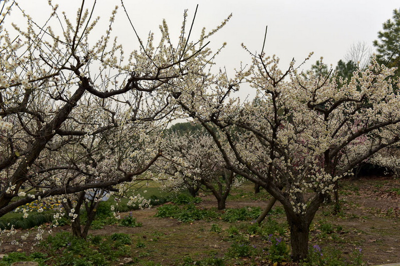 DSC_1258.jpg