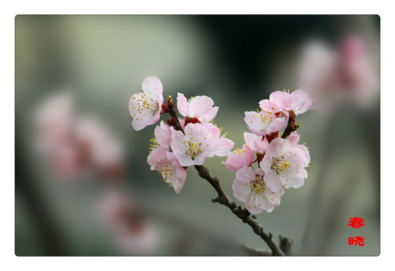 IMG_0399_副本.jpg
