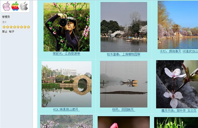 138移植网的春天－2011年4月春摄影集锦.jpg