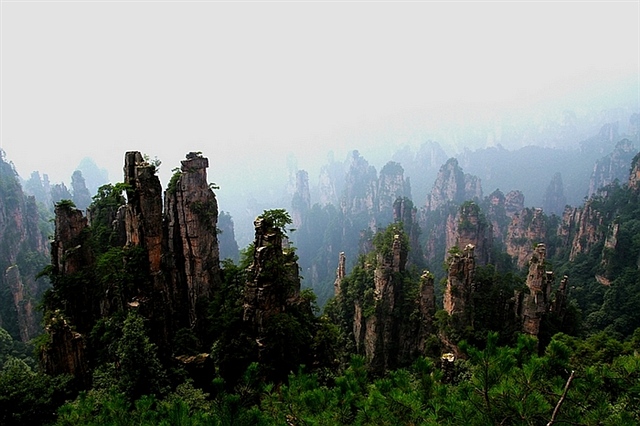 190移民 张家界旅游 2011-8-15 1546.jpg
