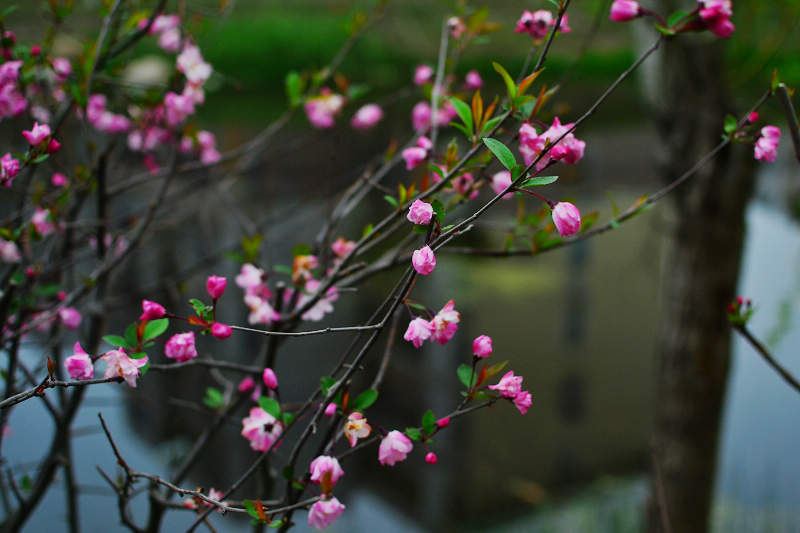 nEO_IMG_DSC_2908.jpg