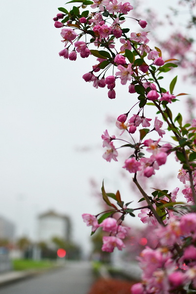 nEO_IMG_DSC_3024.jpg