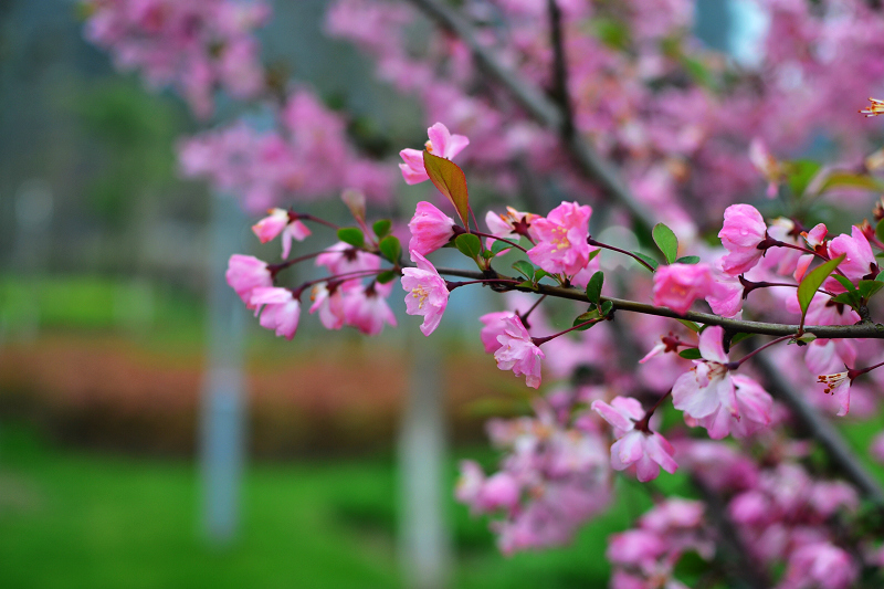nEO_IMG_DSC_3156.jpg