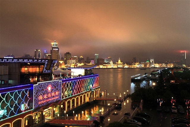 226-1寻找记忆中的上海 水杉 2012-12-11 2312.jpg